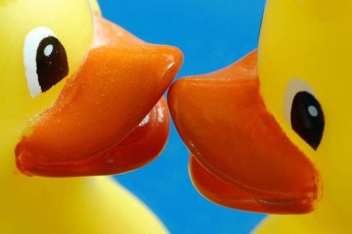 Voici les 15 news sexe qu'il faut retenir de 2014