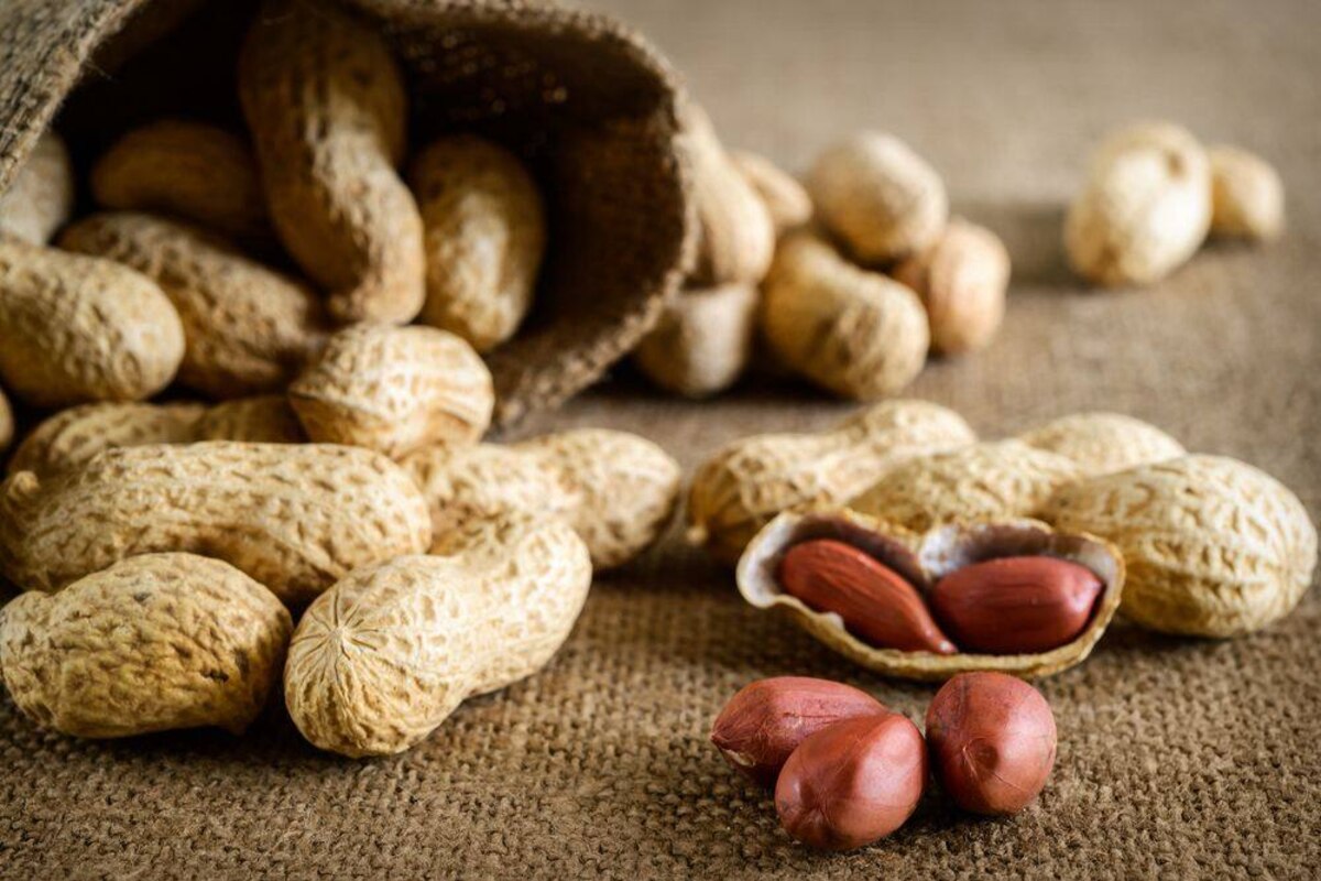 Allergie à l'arachide : nouveaux résultats positifs sur un traitement de DBV Technologies