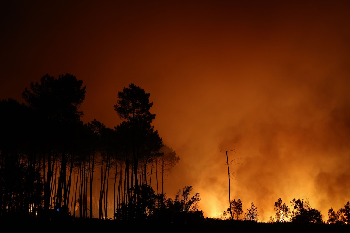 This photograph shows a wooden area engulfed in flames during a wildfire in Le Porge, south-western France on July 22, 2026. A fast-moving wildfire has burned 900 hectares north of Arcachon Bay in southwestern France, forcing the evacuation of more than 4,000 residents and tourists. The blaze, described by firefighters as exceptionally intense, spread sixfold in less than three hours through dense pine forests and is now advancing toward Ares and Lege-Cap-Ferret. The area was previously devastated by major wildfires in 2022. (Photo by ROMAIN PERROCHEAU / AFP)
