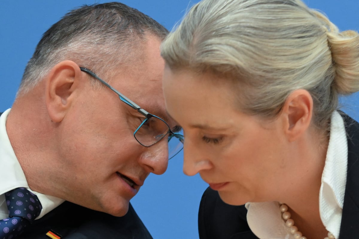 Allemagne : la fuite de centaines de milliers de mails éclaire le processus de radicalisation de l’AfD