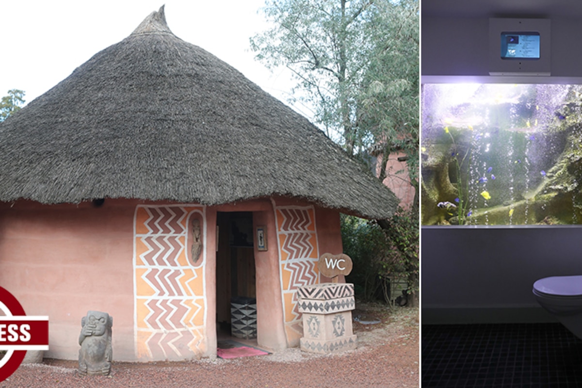 Poissons au-dessus de la tête, urinoir en forme d'éléphant, cases africaines: les toilettes de Pairi Daiza ...