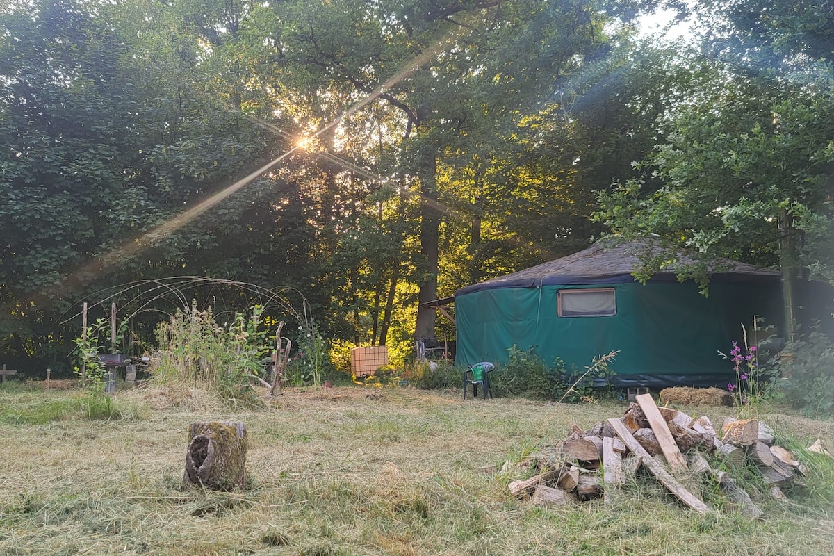 Les habitations construites sur le site du bois de Pincemaille sont illégales mais quelles solutions sont possibles ?