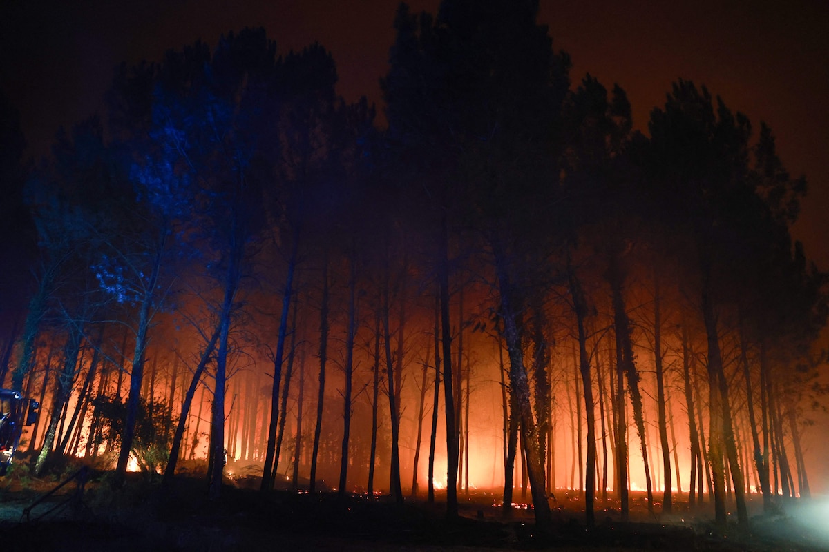 The silhouettes of trees stand stark against the fiery glow of a wildfire raging through the Landes forest in Luglon, southwestern France, in the early hours of August 14, 2026. The fire that broke out on August 13, 2026 in the Landes forest has now spread across 400 hectares, and 400 people "are being evacuated as a precautionary measure", according to the prefecture of this south-western department. (Photo by ROMAIN PERROCHEAU / AFP)