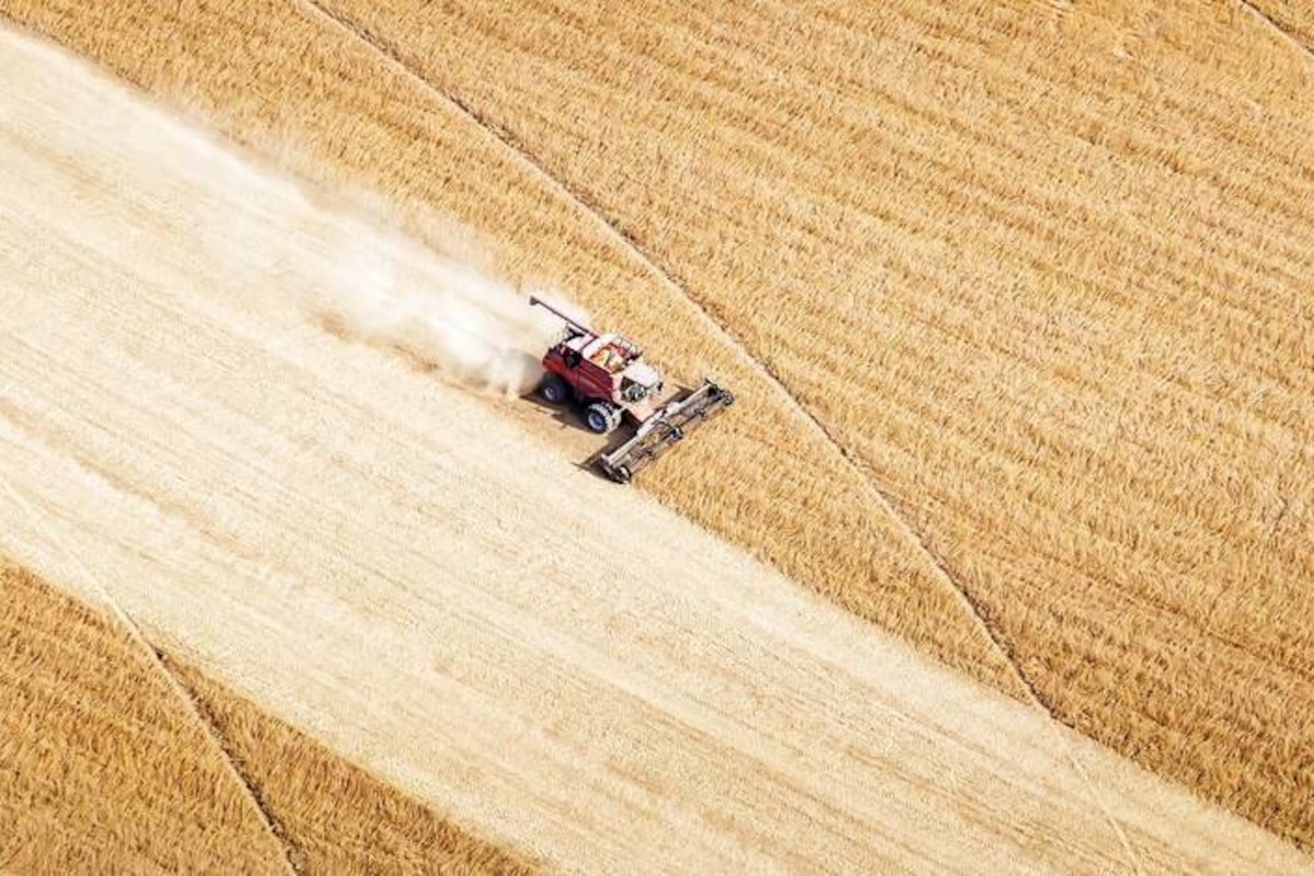 Rock Hall, Maryland, United States of America; Cover crop planting and soybean harvest in Kent County Reporters / Design Pics