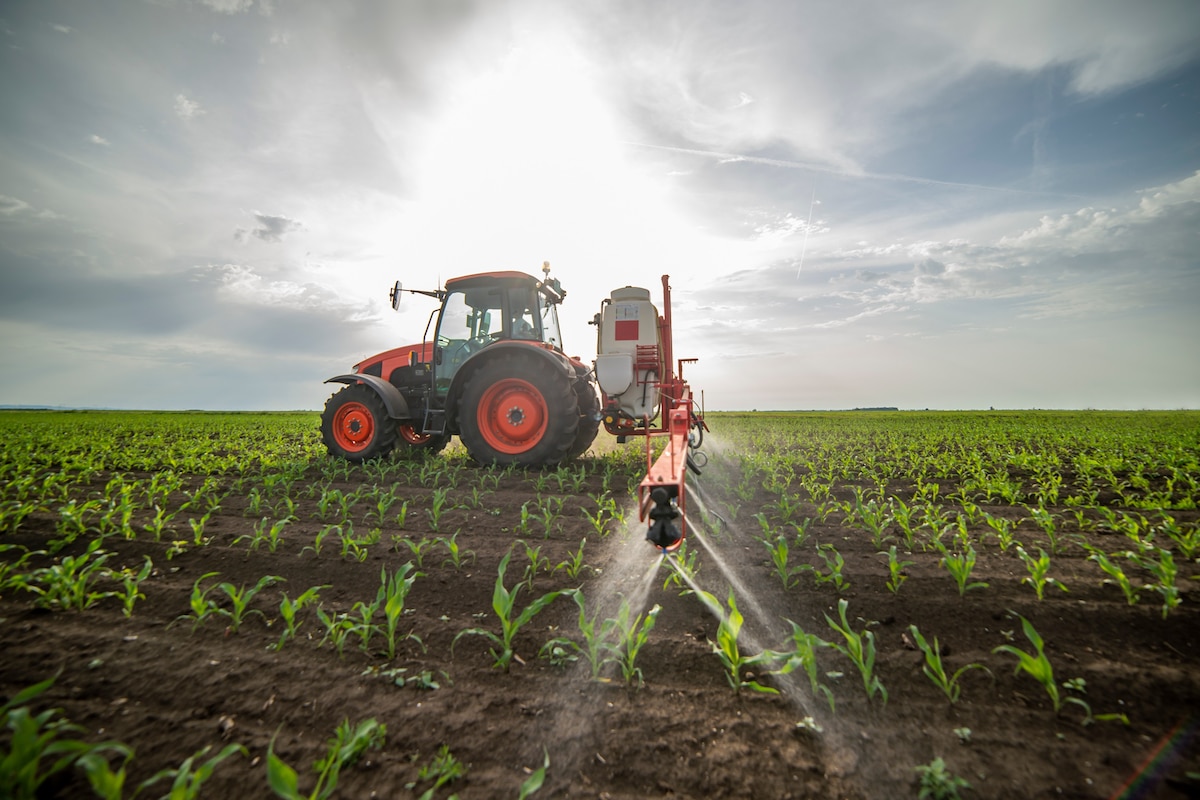 Près de 21 pesticides présents en moyenne dans les chambres à coucher en Flandre (photo d'illustration).