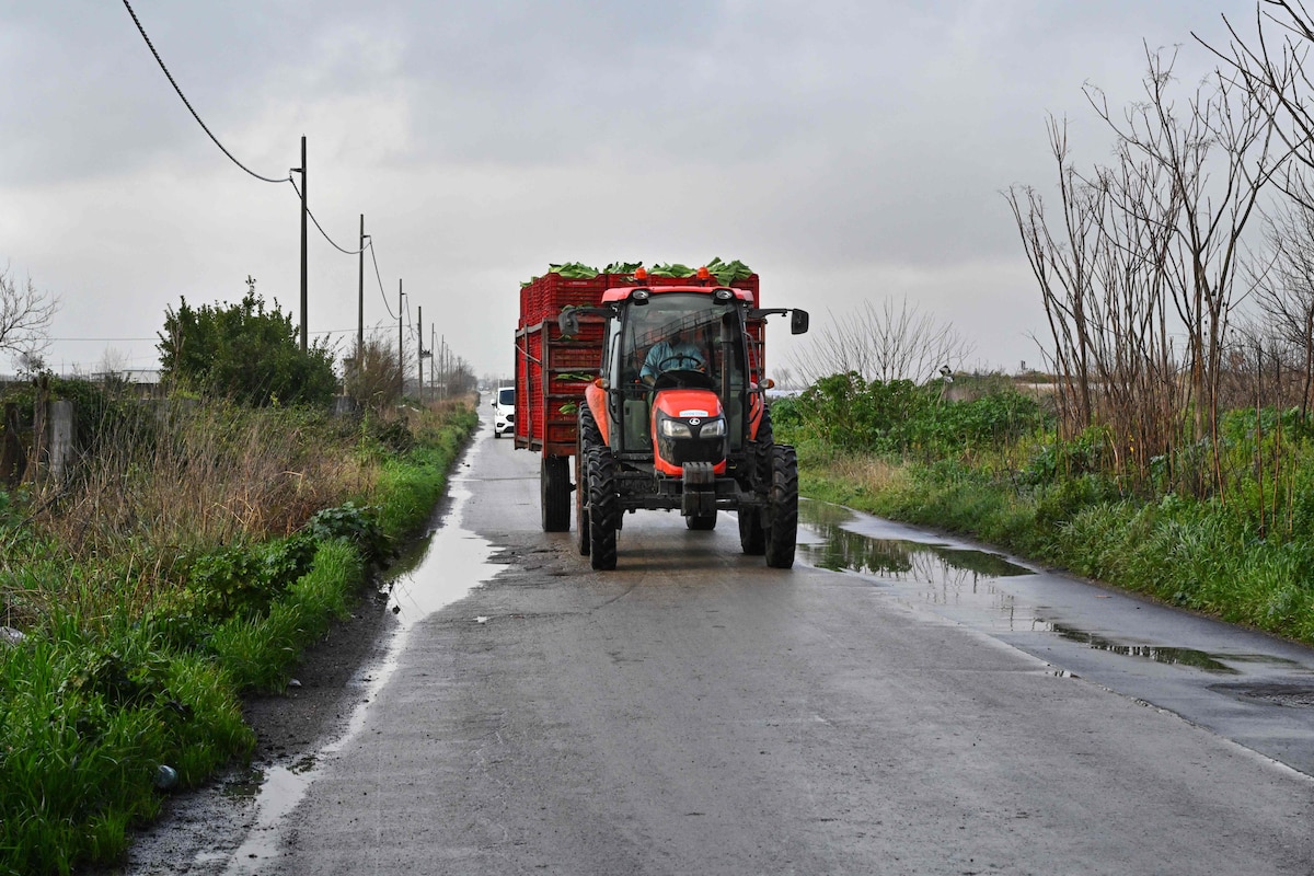 A tractor while transporting vegetables, passes near tires, plastic and burnt toxic waste left scattered on the sides of a secondary road used by agricultural vehicles in the Pantano area, in the so-called "Terra dei Fuochi" (Land of Fires). near Acerra. The European Court of Human Rights will rule on January 30, 2025 on the responsibility of the Italian state in the deaths caused by environmental pollution in the "land of fires", a large area located in southern Italy, in relation with the illegal burying and incineration of toxic waste, which has led to an upsurge in cancer among the population. Nicknamed �the land of fires� because of the many illegal sites where industrial waste, often imported from the north of the peninsula, was burnt in the open air, this region halfway between Naples and Caserta has been suffering from endemic pollution for decades, contaminating the soil, water and air. (Photo by Andreas SOLARO / AFP)