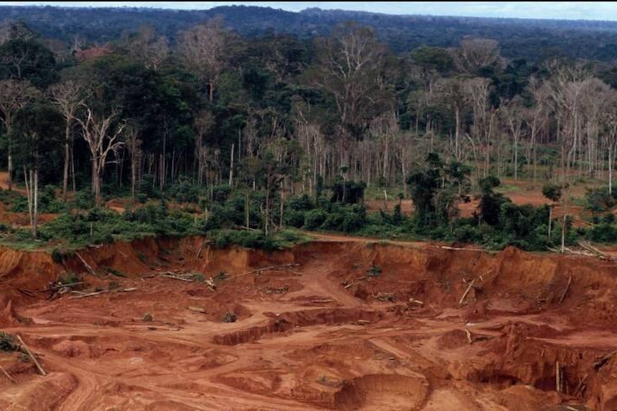 Interpol lance la traque aux criminels de l'environnement