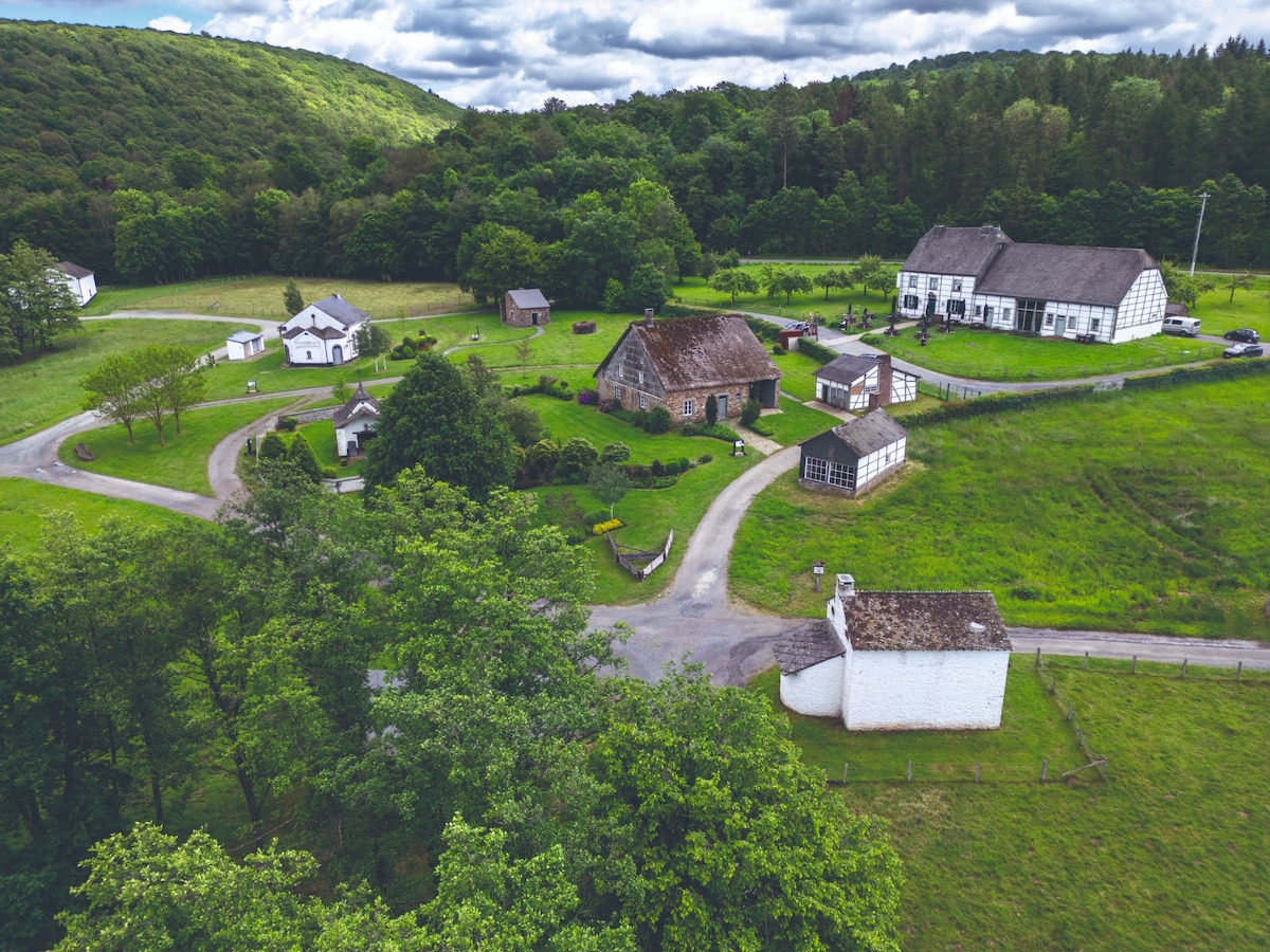 Vue aérienne du site du fourneau Saint-Michel.
