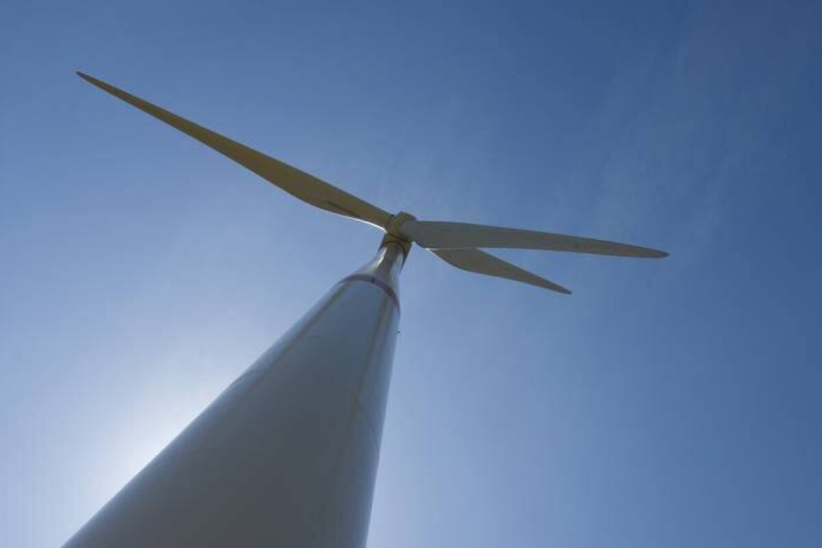 La plaine de Boneffe, "trop belle pour être sacrifiée" aux éoliennes